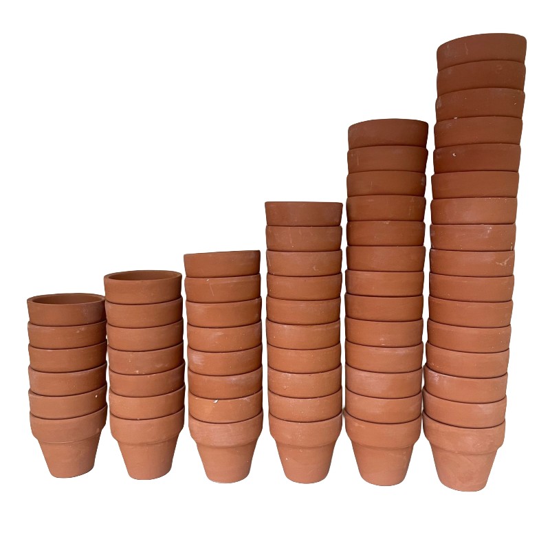 Cactus Mix Pot - 60 Stuks Mini 1.8 