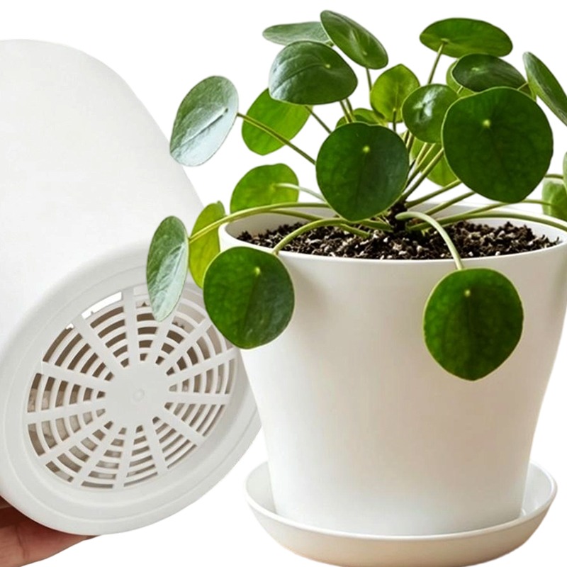 Cactus Mix Pot - Plantenset met drainagegaten en bijpassende bak