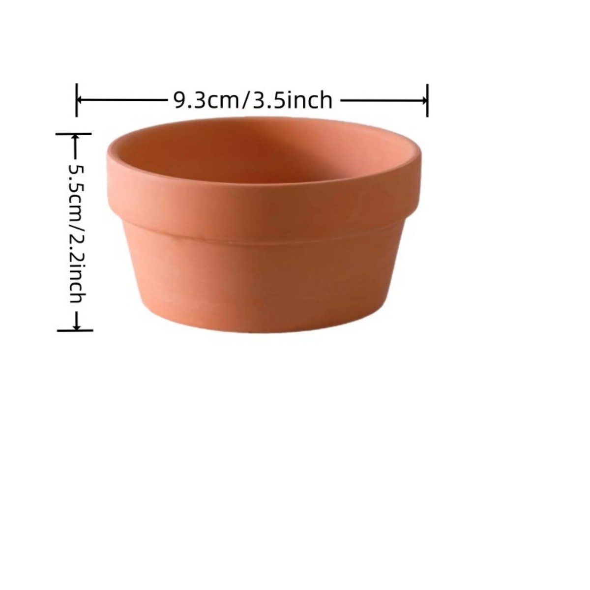 6 Stuks Terracotta Buldpotten  - Cactus Mix Pot recensie en prijs