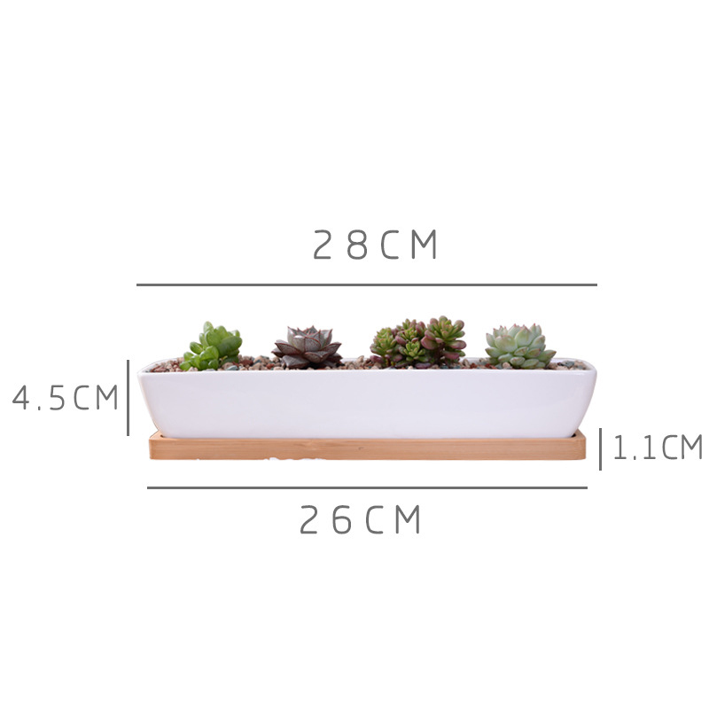 Lange rechthoekige witte keram - Cactus Mix Pot recensie en prijs
