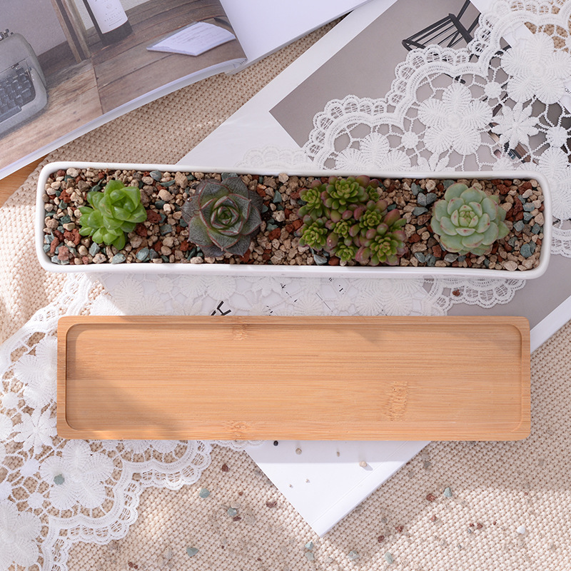 Lange rechthoekige witte keram - Cactus Mix Pot recensie en prijs