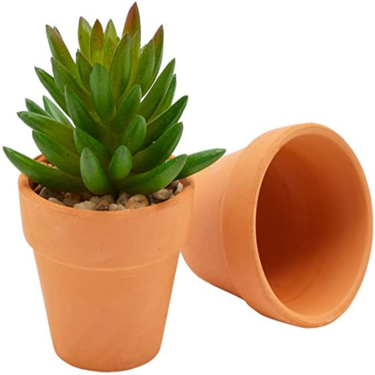 16 stuks 1,8 '' Terra Cotta po - Cactus Mix Pot recensie en prijs