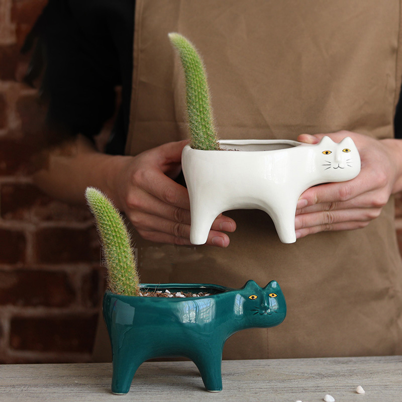 Leuke Kat Keramische Tuin Bloe - Cactus Mix Pot recensie en prijs