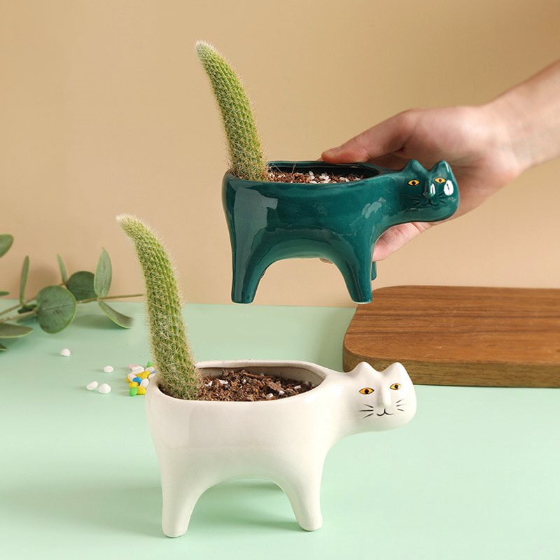 Leuke Kat Keramische Tuin Bloe - Cactus Mix Pot recensie en prijs